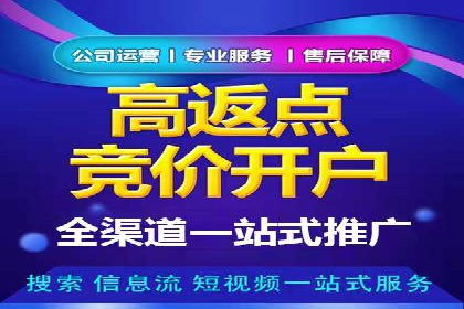 案例解读：网络推广与竞价策略
